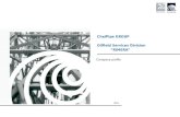 ChelPipe GROUP Oilfield Services Division RIMERA Company profile 2011.