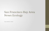San Francisco Bay Area News Ecology Hayreddin Ceker.