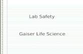 Lab Safety Gaiser Life Science Know Why is it important to follow safety procedures in a science classroom? Evidence Page # I dont know anything. is.