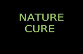NATURE CURE. VEDAS Ayurveda Medicine (3000-1000 BC) ayur (life) and veda (science). Sacred medicine from Ancient India. Holistic philosophy embracing.