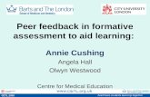 Peer feedback in formative assessment to aid learning: Annie Cushing Angela Hall Olwyn Westwood Centre for Medical Education s CETL 2008.