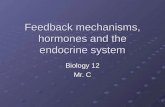Feedback mechanisms, hormones and the endocrine system Biology 12 Mr. C.