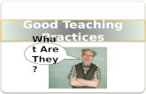 Good Teaching Practices What Are They ?. Good Teaching Practices: An Intro The Chickering and Gamson summary (1987) Seven Principles of Good Practice.