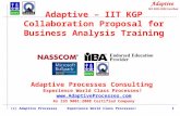 Adaptive – IIT KGP Collaboration Proposal for Business Analysis Training Adaptive Processes Consulting Experience World Class Processes! .