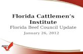 Florida Cattlemens Institute Florida Beef Council Update January 26, 2012.