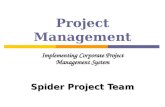 Project Management Implementing Corporate Project Management System Spider Project Team.