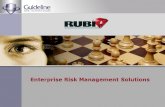 Founded 1993 Primary focus – Enterprise Risk Management Solutions COMPANY PROFILE.