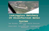 Effectiveness of Lookingglass Hatchery UV Disinfection Water System Sam Onjukka, ODFW Fish Health Services And Diane Deal, Assistant Mgr. Lookingglass.