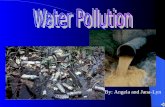 By: Angela and Jana-Lyn. Water pollution is is putting anything in lakes river streams or oceans, that doesnt belong there.