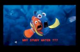 WHY STUDY WATER ??? Water You will be able to explain how and why water is so important to life on Earth. You will understand and explain the properties.