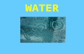 WATER. Water Formula threeA water molecule ( H 2 O ), is made up of three atoms = one oxygen and two hydrogen. H H.