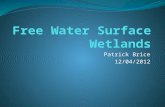 Patrick Brice 12/04/2012. Types of Free Water Surface (FWS) Wetlands Surface Flow Open Water Zone Floating Aquatic Plant System.