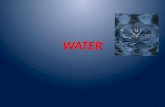 WATER USES OF WATER DRINKING COOKING BATHING CLEANING IRRIGATING THE FIELDS INDUSTRIAL PURPOSES GENERATING ELECTRICITY.