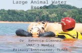 Large Animal Water Rescue Dr. Rebecca Gimenez VMAT-3 Member Primary Instructor, TLAER.