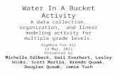 Water In A Bucket Activity A data collection, organization, and linear modeling activity for multiple grade levels. Algebra For All 13 May, 2011 Presented.