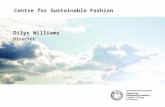 Centre for Sustainable Fashion Dilys Williams Director.