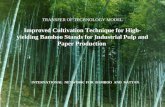 TRANSFER OF TECHNOLOGY MODEL Improved Cultivation Technique for High- yielding Bamboo Stands for Industrial Pulp and Paper Production INTERNATIONAL NETWORK.