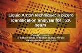 Liquid Argon technique: a pizero identification analysis for T2K beam Paweł Przewłocki, A. Soltan Institute for Nuclear Studies, Warsaw Warsaw Neutrino.