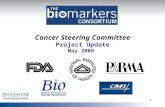 1 Cancer Steering Committee Project Update May 2009.