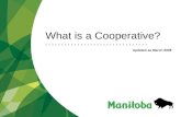 What is a Cooperative? Updated as March 2008. Cooperatives Development Department Jamila Bachiri/ Whats a Coop Research Legislatio n Business Cooperatives.