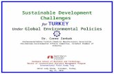Sustainable Development Challenges of Turkey - Saint Marys Univ. Minn. MIB Program International Field Study Trip - Istanbul, Turkey, 31 May, 2010 Dr.