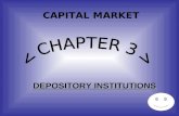 CAPITAL MARKET DEPOSITORY INSTITUTIONS. CONTENTS OF OUR PRESENTATION WHAT A DEPOSITORY INSTITUTION IS ? ASSEST/LIABILITY PROBLEM OF DEPOSITORY INSTITUTIONS.
