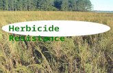 Herbicide Resistance. Discussion Topics What is resistance? What causes resistance?