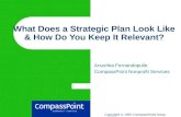 Copyright © 1997 CompassPoint Nonprofit Services What Does a Strategic Plan Look Like & How Do You Keep It Relevant? Anushka Fernandopulle CompassPoint.
