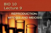 BIO 10 Lecture 9 REPRODUCTION: MITOSIS AND MEIOSIS.
