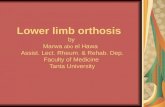 Lower limb orthosis by Marwa abo el Hawa Assist. Lect. Rheum. & Rehab. Dep. Faculty of Medicine Tanta University.