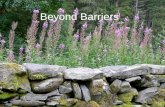 Beyond Barriers. Developing a palliative care approach for people with the later stages of dementia Jenny Henderson.