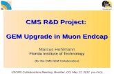 CMS R&D Project: GEM Upgrade in Muon Endcap Marcus Hohlmann Florida Institute of Technology (for the CMS GEM Collaboration) USCMS Collaboration Meeting,