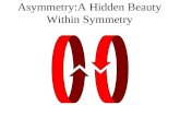 Asymmetry:A Hidden Beauty Within Symmetry 1. Introduction 2. The Motif: Types of Symmetries I. Bilateral II. Translational III. Rotational 3. Variation.