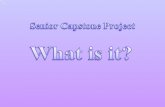 Senior Capstone The senior project is a requirement for seniors to graduate It is a large project encompassing 3 distinct parts: –Research Paper (to be.