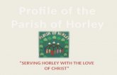 As a Parish we are praying for a man or woman Team Rector to lead the Team Ministry in Horley, Surrey which comprises of the three churches of St. Bartholomew,
