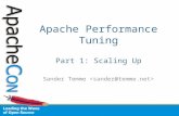 Apache Performance Tuning Part 1: Scaling Up Sander Temme.