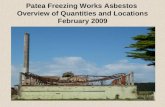 Patea Freezing Works Asbestos Overview of Quantities and Locations February 2009.