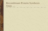 power point Recombinant Protein synthesis