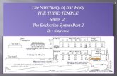 1 The Sanctuary of our Body THE THIRD TEMPLE Series 2 The Endocrine System Part 2 By : sister rose.