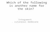 Which of the following is another name for the skin? Integument. cutaneous membrane.