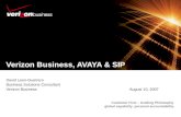 Customer First – Guiding Philosophy global capability. personal accountability. Verizon Business, AVAYA & SIP David Leon-Guerrero Business Solutions Consultant.