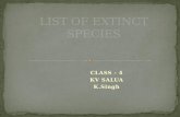 CLASS - 4 KV SALUA K.Singh Extinct animals means those animals are coming to an end or dying out.