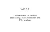 WP 3.2 Chromosome 16: Protein sequencing, characterization and PTM analysis.