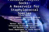 Football Players Socks: A Reservoir for Staphylococcal Species Lauren Quinn Public Health Internship Program The University of Texas Austin Mentor: Marilyn.