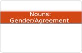 Nouns: Gender/Agreement Gender In this presentation, we will look at two very important concepts in Spanish: Gender Agreement.