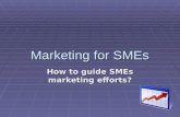Marketing for SMEs How to guide SMEs marketing efforts?