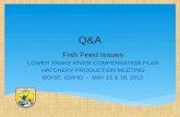 Q&A Fish Feed Issues LOWER SNAKE RIVER COMPENSATION PLAN HATCHERY PRODUCTION MEETING BOISE, IDAHO - MAY 15 & 16, 2012.