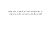 Why are organic macromolecules so important to consume in the diet?