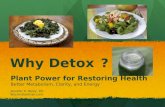 Why Detox? Plant Power for Restoring Health Better Metabolism, Clarity, and Energy Jennifer K. Reilly, RD BitchinDietitian.com.