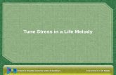 Tune Stress in a Life Melody. I Feel Stressed You Mean….. Feeling tired Irritated Overworked Exhausted Depressed Tense Disappointed.